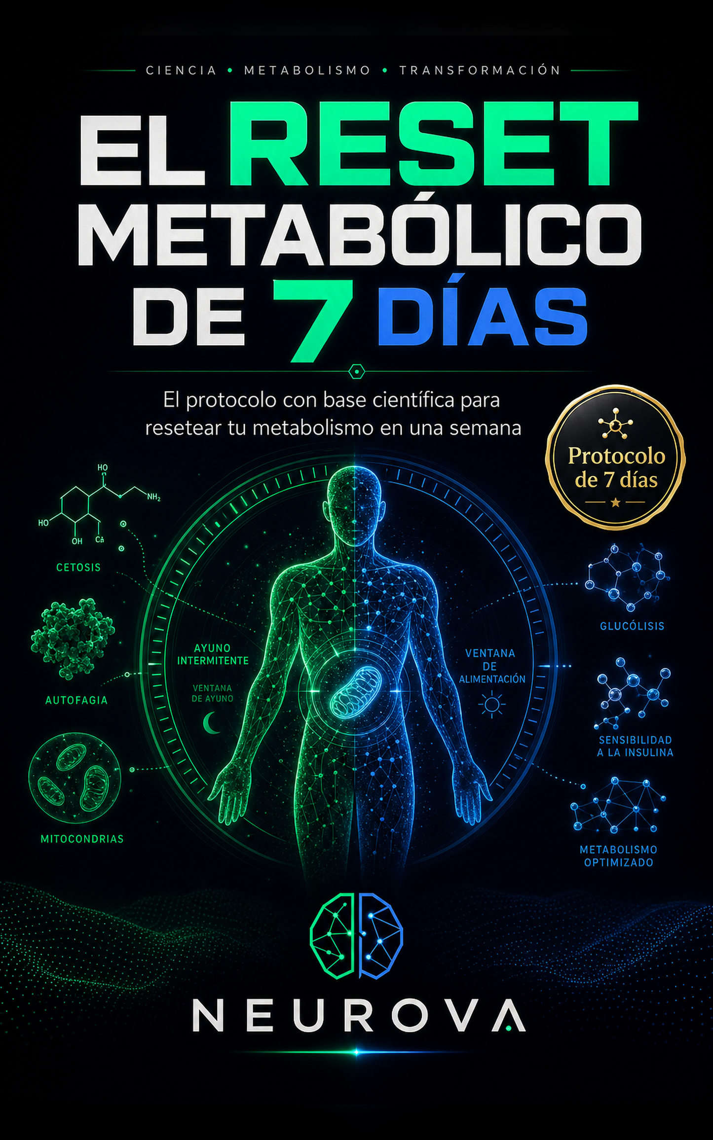 Reset Metabólico de 7 Días — Protocolo Científico para Reactivar tu Metabolismo